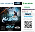  Sábado 20 de junio de 2015 - Fiesta Hawaiana